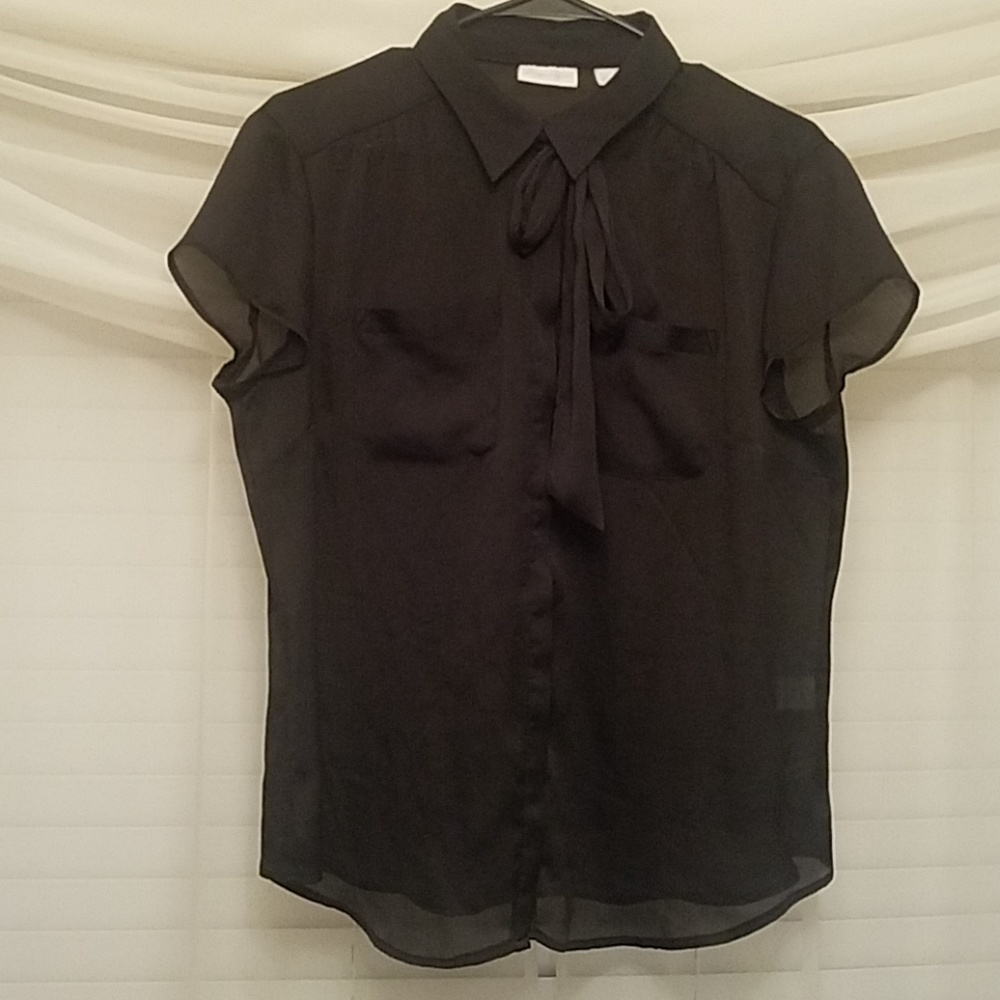Large black short sleeve sheer blouse.